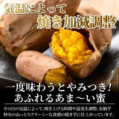 ふるさと納税 霧島市 2026年11月以降順次発送　完熟焼き芋<安納芋>1kg【フレッシュジャパン鹿児島】　K-101-A |  | 01