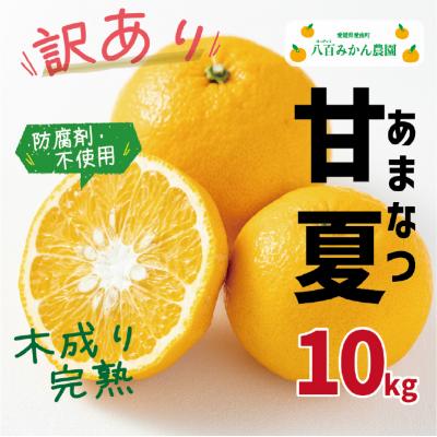 ふるさと納税 愛南町 [先行予約]八百みかん農園 訳あり 完熟 甘夏 10kg (発送:2027年3月上旬~)