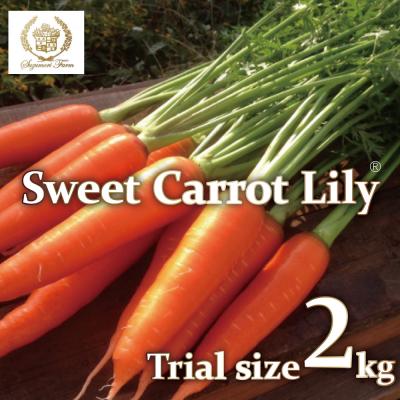 ふるさと納税 碧南市 [予約受付]お試し 鈴盛農園の甘いにんじんスウィートキャロットリリィ2kg