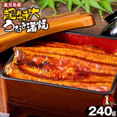 ふるさと納税 曽於市 鹿児島県産うなぎ蒲焼(無頭)計240g以上・240g以上×1尾
