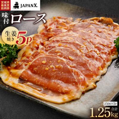 ふるさと納税 蔵王町 JAPAN X 味付ロース5点セット 生姜焼き5パック[04301-0883-1]