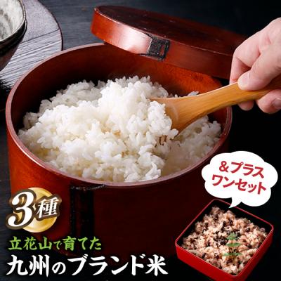 ふるさと納税 新宮町 立花山で育てた九州のブランド米・味くらべ&amp;プラスワンセット(数量限定商品)