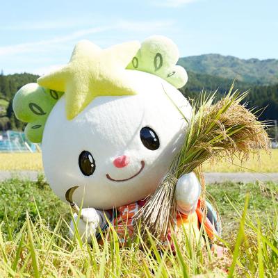 ふるさと納税 陸前高田市 【隔月3回定期便】 たかたのゆめ 白米 4kg×隔月3回 (合計12kg) 令和7年産 精米 お米の画像