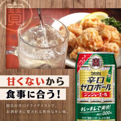 ふるさと納税 京都市 【タカラ】辛口ゼロボール ジンジャエール 350ml×24本|ノンアル 大人気シリーズ |  | 02