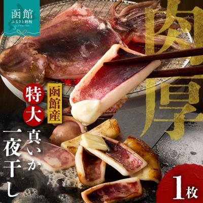 ふるさと納税 函館市 函館産 特大真いか 一夜干し(1枚)_HD010-023