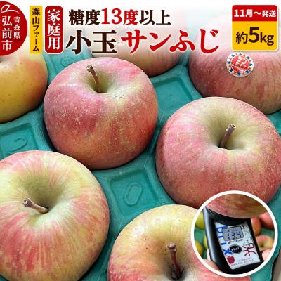 ふるさと納税 弘前市 りんご サンふじ[家庭用]約5kg 小玉 糖度13度以上 先行受付|24_myf-010501a