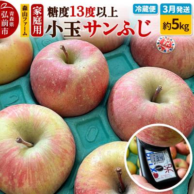 ふるさと納税 弘前市 りんご サンふじ 糖度13度以上[家庭用]約5kg 小玉 森山ファーム|24_myf-010501b
