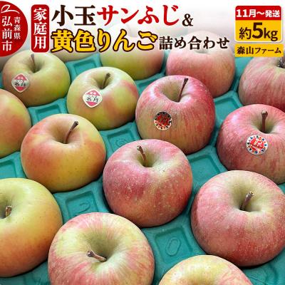 ふるさと納税 弘前市 りんご サンふじ&amp;黄色りんご[家庭用]約5kg 小玉 先行受付|24_myf-020501a