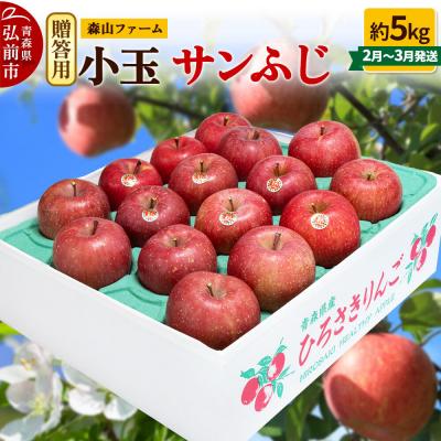 ふるさと納税 弘前市 りんご サンふじ[贈答用]約5kg 小玉 森山ファーム|24_myf-030501