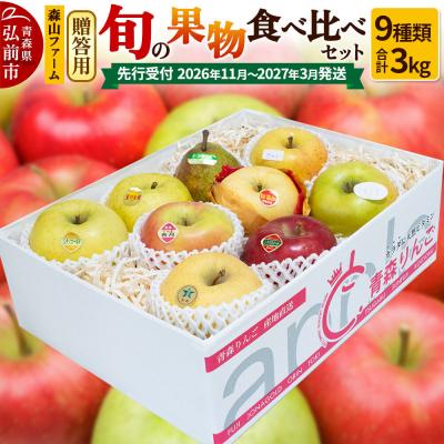 ふるさと納税 弘前市 [贈答用]森山ファーム厳選 旬の食べ比べセット 3kg×1箱 9種入|24_myf-060301