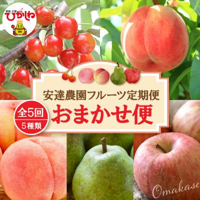 ふるさと納税 東根市 [2026年 5回定期便]安達農園フルーツ定期便 おまかせ便 山形県 東根市 hi037-011