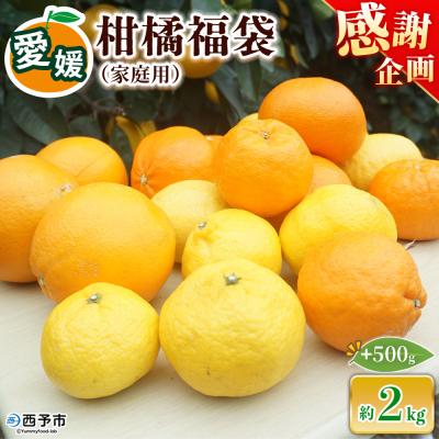 ふるさと納税 西予市 <笑丸のお楽しみ柑橘福袋(家庭用)約2kg+500g>笑丸 みかん 感謝企画