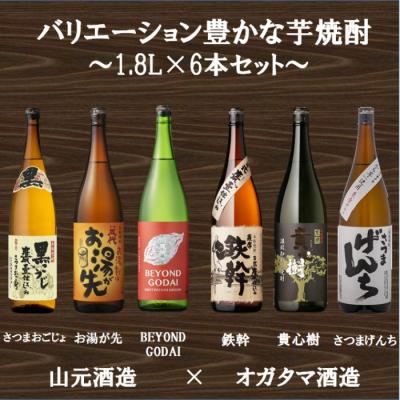 ふるさと納税 薩摩川内市 山元酒造×オガタマ酒造 バリエーション豊かな芋焼酎 6本セット 1.8L×6本 ES-908
