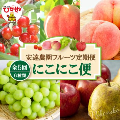 ふるさと納税 東根市 [2026年 5回定期便]安達農園フルーツ定期便 にこにこ便 山形県 東根市 hi037-012