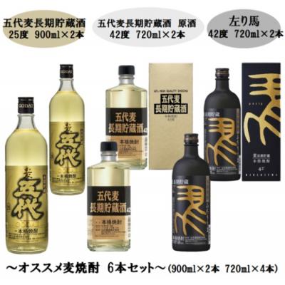 ふるさと納税 薩摩川内市 山元酒造 オススメ麦焼酎 6本セット(小) 900ml*2本 720ml×4本 ES-213