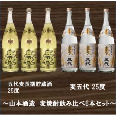 ふるさと納税 薩摩川内市 山元酒造 麦焼酎飲み比べ6本セット 大 1.8L×6本 ES-026