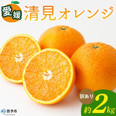 ふるさと納税 西予市 <清見オレンジ 訳あり 約2kg> 柑橘 みかん ミカン愛媛県 おれんじはーと