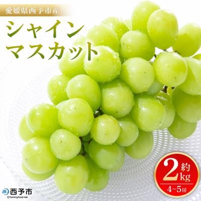 ふるさと納税 西予市 <シャインマスカット 約2kg> 果物 フルーツ ぶどうファームNINOMIYA愛媛