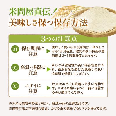ふるさと納税 東根市 【令和7年産】※2026年8月後半発送※ 玄米 はえぬき30kg hi053-065-083の画像