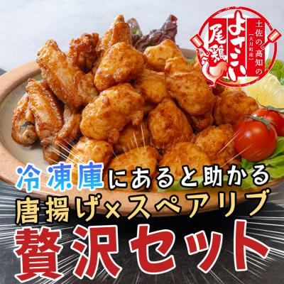 ふるさと納税 大月町 国産 よさこい尾鶏 鶏肉 唐揚げ 手羽中 チキンスペアリブ 4.5kg 冷凍 簡単調理 レンジ
