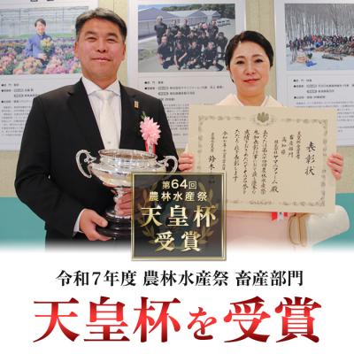 ふるさと納税 大月町 国産 よさこい尾鶏 鶏肉 唐揚げ 手羽中 チキンスペアリブ 4.5kg 冷凍 簡単調理 レンジ