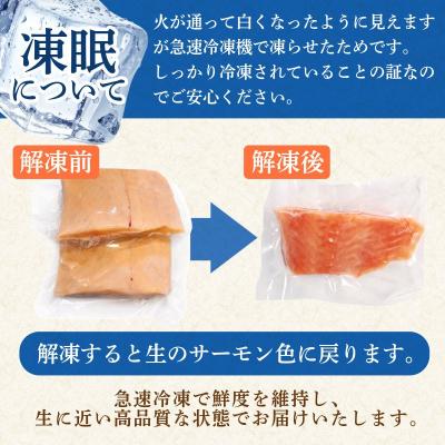 ふるさと納税 小松島市 アトランティックサーモン計500g(切り落とし