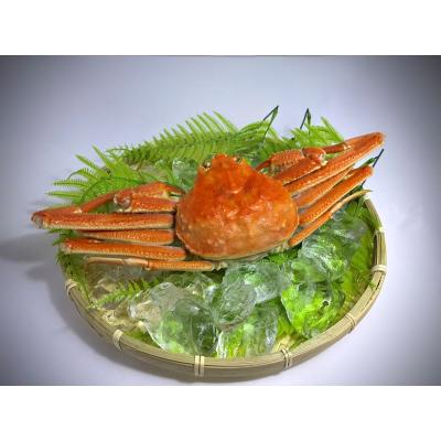 ふるさと納税 広尾町 北海道産ボイルオオズワイガニ400g×5尾 合計2kg