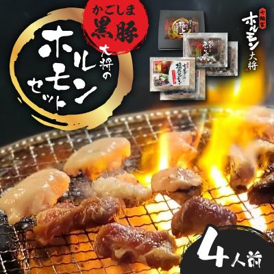 ふるさと納税 鹿児島市 かごしま黒豚 ホルモンセット4人前 (2×2セット) K378-001_02