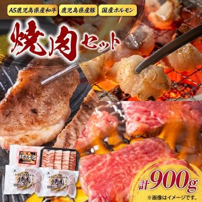 ふるさと納税 鹿児島市 [ 期間限定 生活応援 ][A5和牛・豚・ホルモン]焼肉セット900g