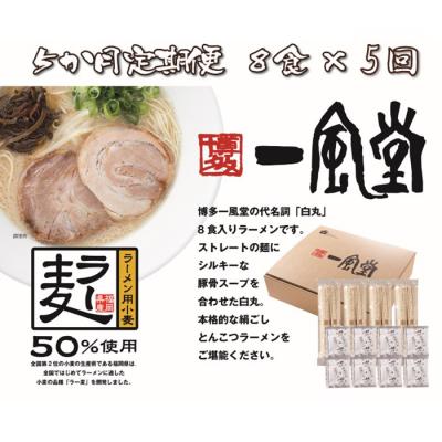 ふるさと納税 新宮町 [全5回定期便]一風堂白丸ラー麦麺セット・8食(常温)[豚骨ラーメン]