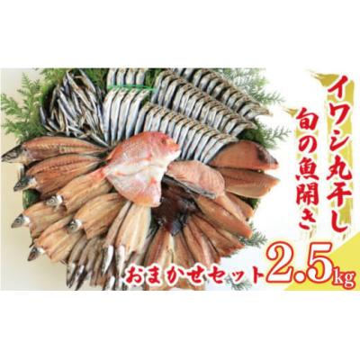 ふるさと納税 愛南町 訳あり 魚の 丸干し &amp; 開き おまかせ セット 2.5kg 株式会社武久海産