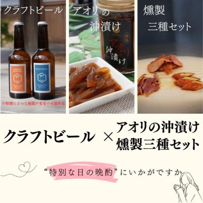 ふるさと納税 美波町 阿波尾鶏燻製とアオリ沖漬&amp;クラフトビール2本セット