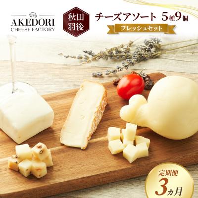 ふるさと納税 羽後町 [定期便3ヶ月]チーズアソート5種9個/フレッシュセット