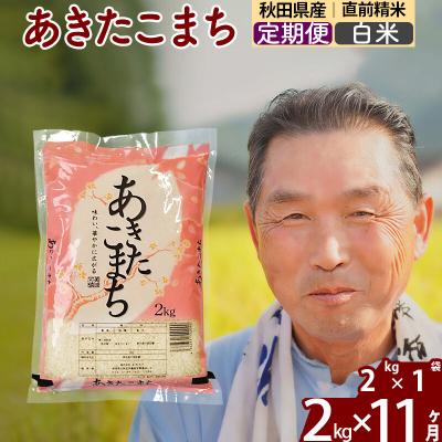 ふるさと納税 北秋田市 令和7年産《定期便11ヶ月》秋田県産あきたこまち2kg【白米】|oomr-10111 | 