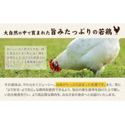 ふるさと納税 氷川町 鶏肉 熊本県産 若鶏むね肉 2kg [30日以内に出荷予定(土日祝除く)]