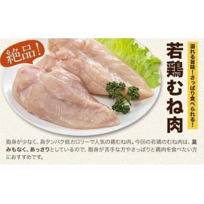 ふるさと納税 氷川町 鶏肉 熊本県産 若鶏むね肉  2kg 《30日以内に出荷予定(土日祝除く)》 |  | 02