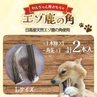 ふるさと納税 浦河町 エゾ鹿の角 Lサイズ1本物と角先のセット[54-1574]