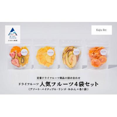 ふるさと納税 小松市 Kaju Re:人気のフルーツ4袋セット ドライフルーツ りんご パイナップル キウイ みかん 苺