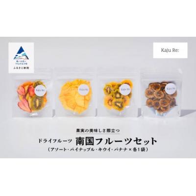 ふるさと納税 小松市 Kaju Re:南国フルーツセット ドライフルーツ りんご パイナップル キウイ みかん 苺 バナナ