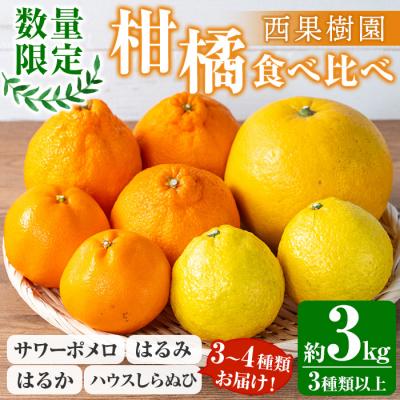 ふるさと納税 いちき串木野市 [期間限定]柑橘の宝石箱♪西果樹園柑橘食べ比べセット:約3kg 3種以上