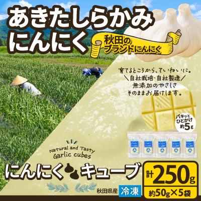 ふるさと納税 大館市 [あきたしらかみにんにく]にんにくCUBE 250g(1袋約50g×5袋)