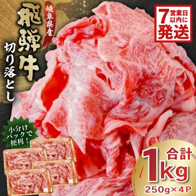 ふるさと納税 可児市 飛騨牛切り落とし1kg(250g×4) | 