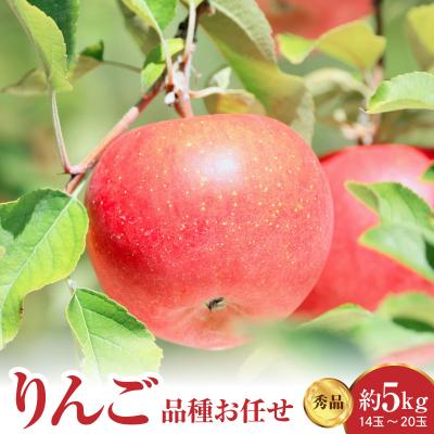 ふるさと納税 米沢市 [先行受付] 令和8年産 りんご 品種お任せ 秀品 約5kg 14玉 〜 20玉 中生種