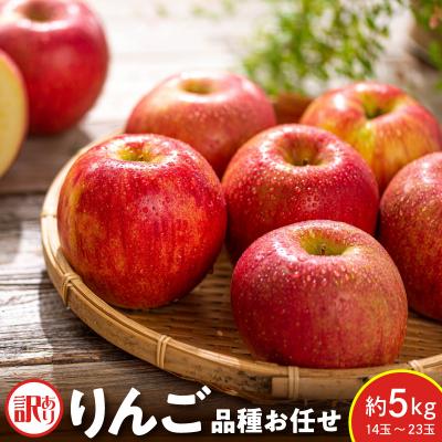 ふるさと納税 米沢市 [先行受付] 令和8年産 訳あり りんご 品種 お任せ 約5kg 14玉 〜 23玉