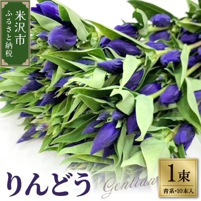 ふるさと納税 米沢市 [先行受付] りんどう 青系 1束 10本入り 切花