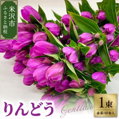 ふるさと納税 米沢市 [先行受付] りんどう 赤系 1束 10本入り 切花