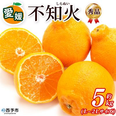 ふるさと納税 西予市 <秀品 不知火 (L〜2Lサイズ) 約5kg>愛媛 蜜柑 ミカン みかん えひめ 丸二青果