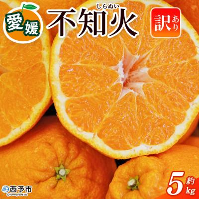 ふるさと納税 西予市 <訳あり 不知火 (サイズ混合) 約5kg愛媛 蜜柑 ミカン不知火丸二青果