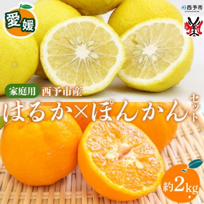 ふるさと納税 西予市 愛媛西予市産 はるか・ぽんかんセット 家庭用 約2kg渡江から一歩を踏み出す会