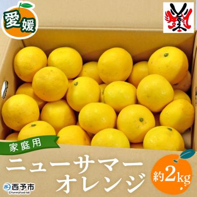 ふるさと納税 西予市 <愛媛県西予市産 ニューサマーオレンジ 家庭用 約2kg>渡江から一歩を踏み出す会